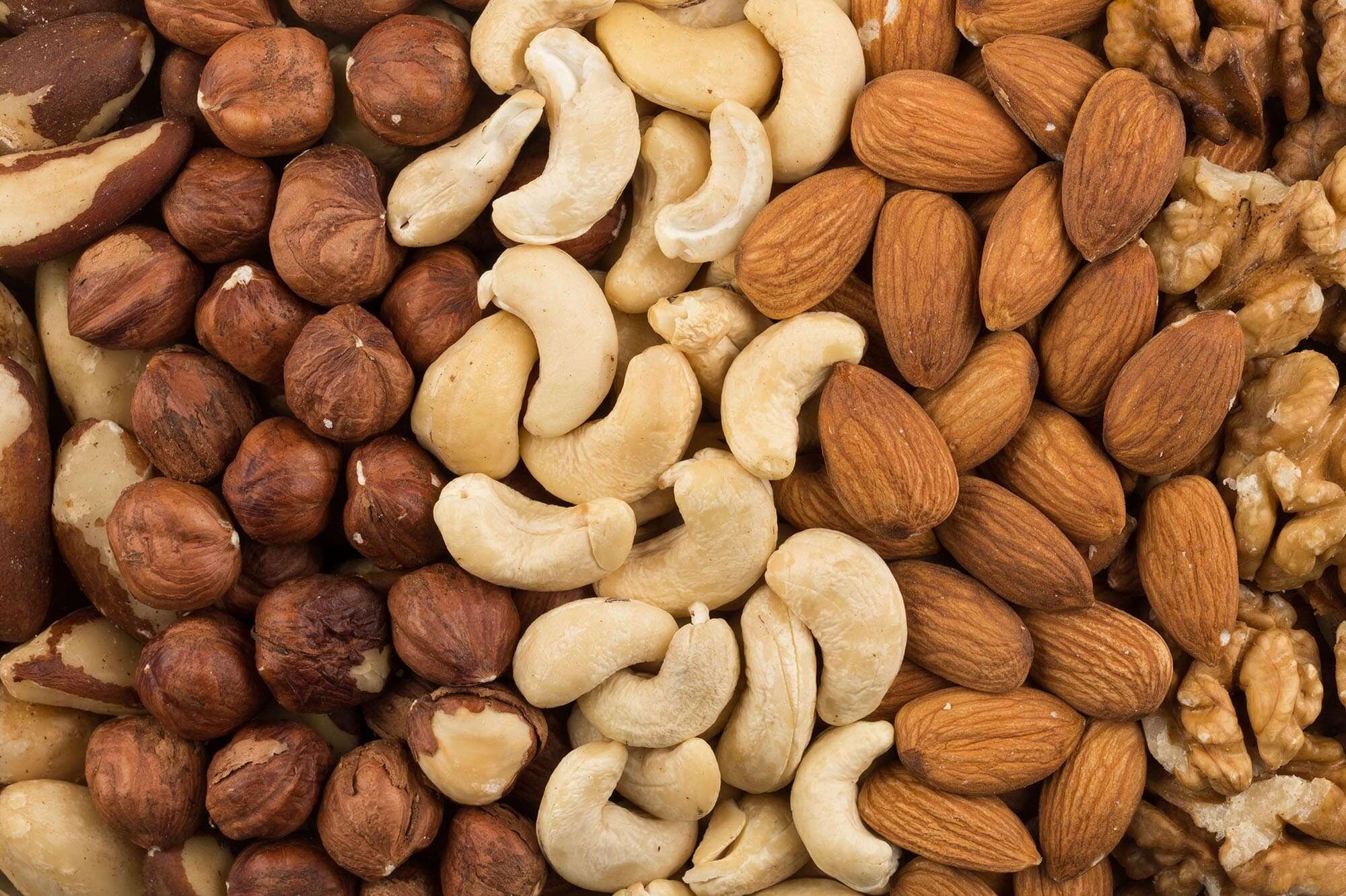 ¿Cuánto tiempo duran los frutos secos? 【 Caducidad 】 2022